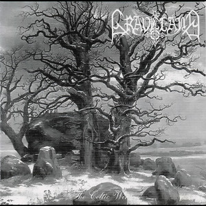 The Celtic Winter cover