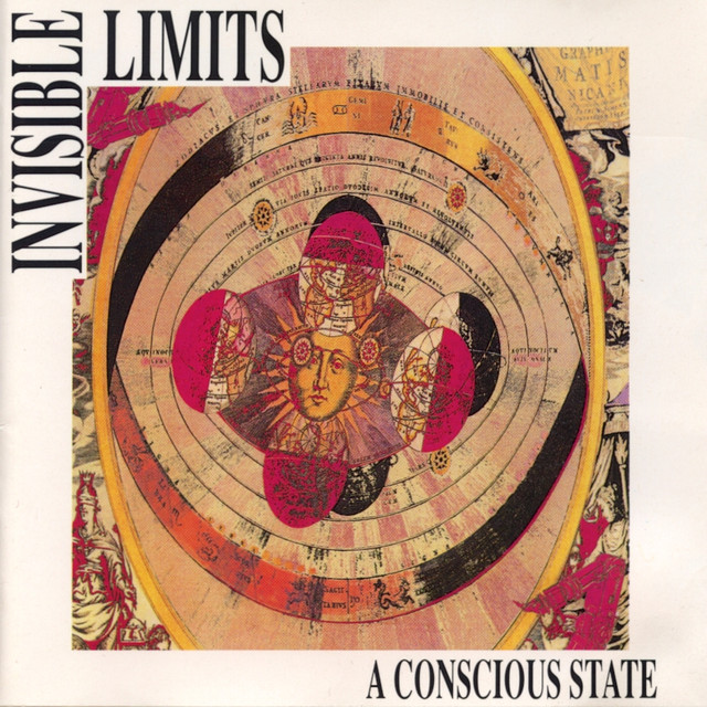A Conscious State cover