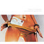 Disco Forever The Sound Of Underground Disco, Compiled By Dimitri From Paris Albumcover