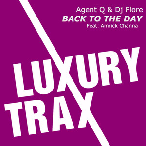 Agent Q & Dj Flore Feat. Amrick Channa