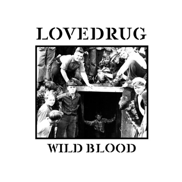 Wild Blood cover