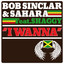 Bob Sinclar & Sahara Feat. Shaggy