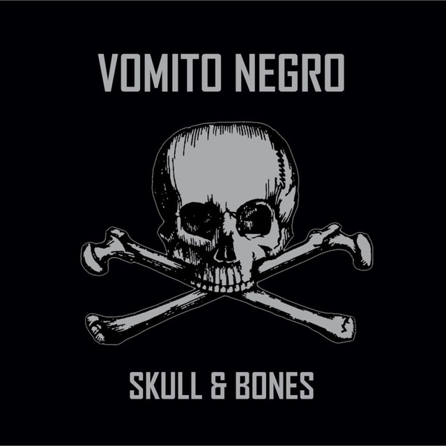 Skull & Bones cover
