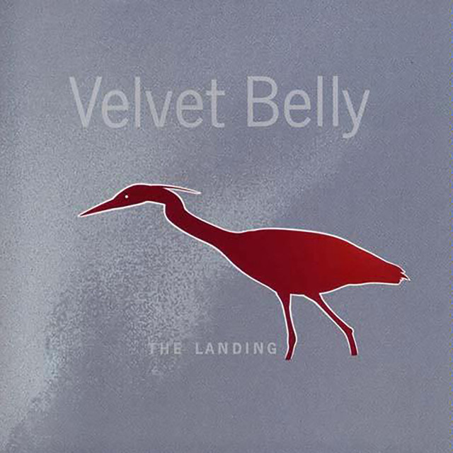 Velvet Belly Photo