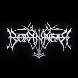 Borknagar Photo