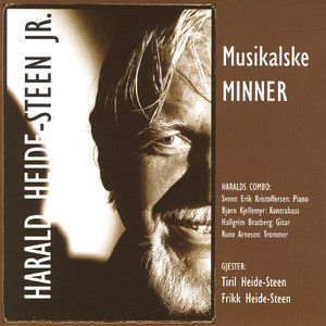 Musikalske minner cover