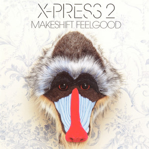 Makeshift Feelgood album