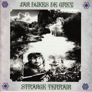 Strange Terrain cover