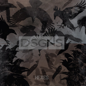 DSGNS Photo