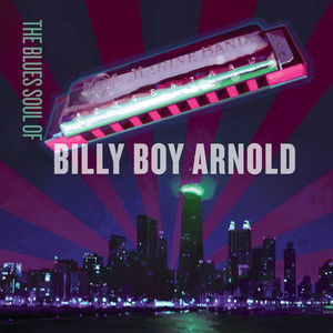 The Blues Soul of Billy Boy Arnold album