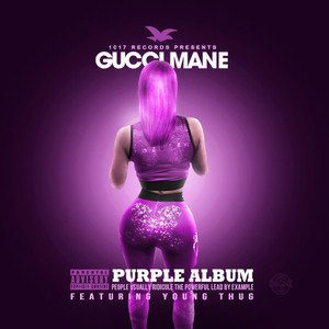 The Purple Album album