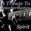 A Tribute To Bruce Springsteen Albumcover