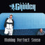 Making Perfect Sense cover