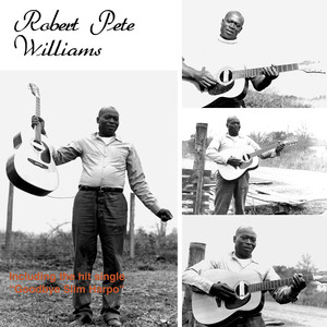 Robert Pete Williams cover