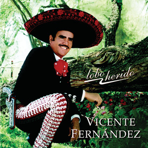 Lobo herido cover