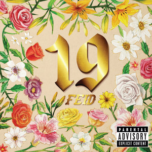 19 cover