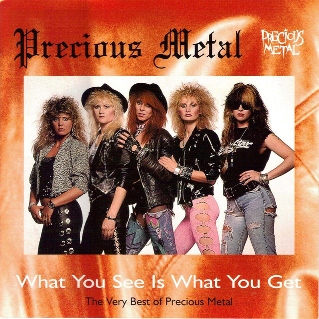 What You See Is What You Get: The Very Best Of Precious Metal cover