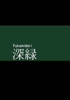 緑 Photo