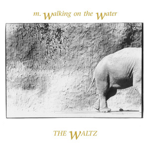 The Waltz cover