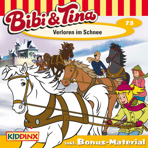 Folge 73: Verloren im Schnee Audiobook