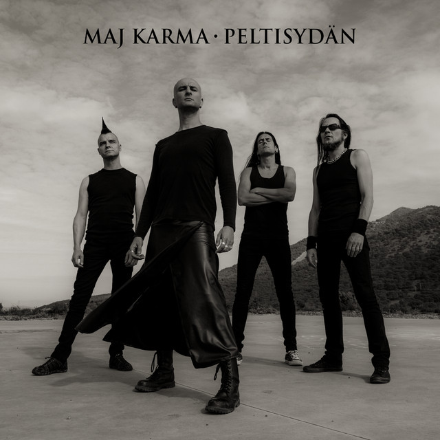 Peltisydän cover