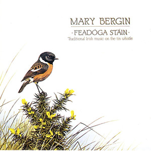 Feadóga Stáin cover