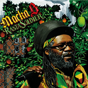 Rasta Soldier cover