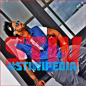 Stiwipedia Albumcover