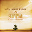 Survival And Other Stories cover