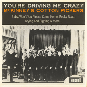You're Driving Me Crazy cover