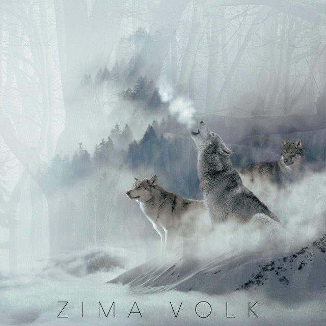 Zima Photo