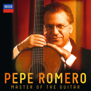 Master Of The Guitar album