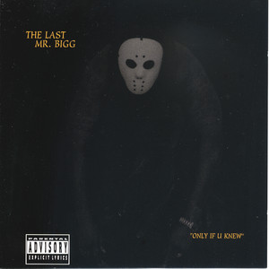 The Last Mr. Bigg