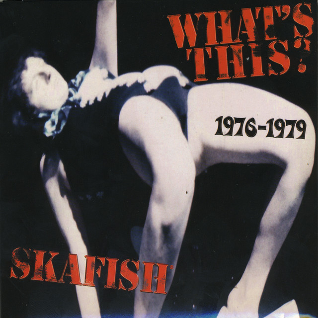 What's This? 1976 - 1979 cover