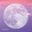 Delight. Albumcover