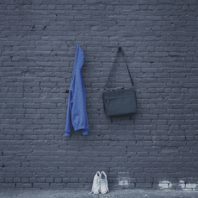 Why Did You Do It? cover