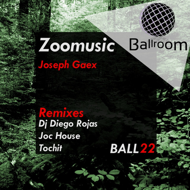 Zoomusic - Dj Diego Rojas Remix cover art