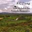 Irish Melodies For Tremolo Harmonica Albumcover