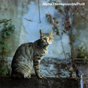 The Impossible Thrill cover