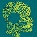 Zanfan Korai profile