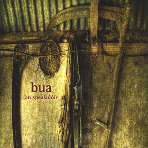 Bua poster