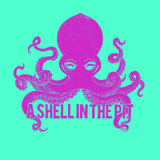 The Shell Photo