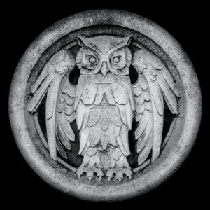 Abnocto cover