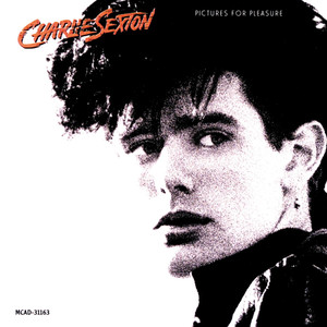 Pictures for Pleasure cover
