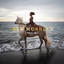 NEW MORNING cover