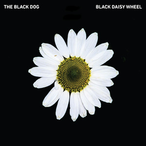 Black Daisy Wheel cover