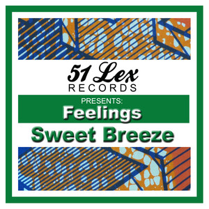 51 Lex Presents Feelings Albumcover