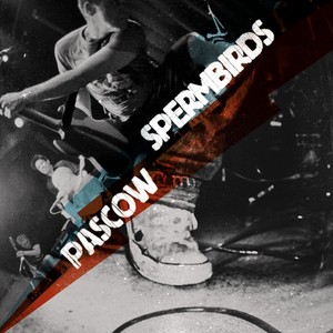 Pascow & Spermbirds