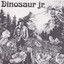 Dinosaur cover