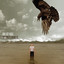 The Ghosts Among Us cover
